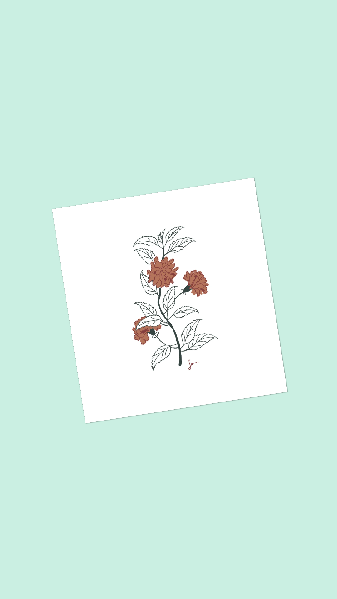 Paquet de 10 cartes de vœux "Hibiscus rosa-sinensis"