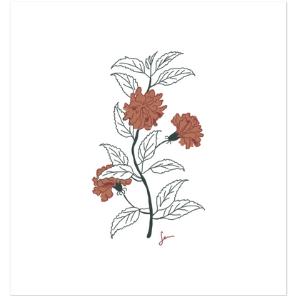 Paquet de 10 cartes de vœux "Hibiscus rosa-sinensis"