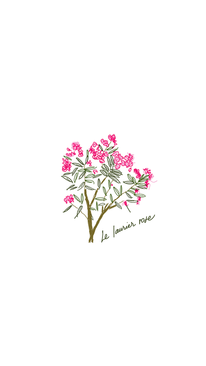 Poster "Le laurier rose"